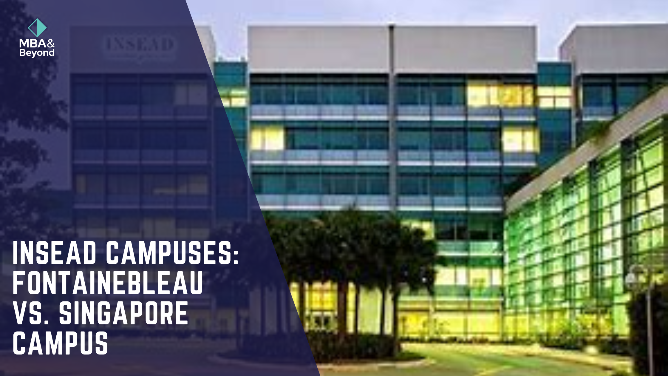 INSEAD Campuses: Fontainebleau vs. Singapore Campus