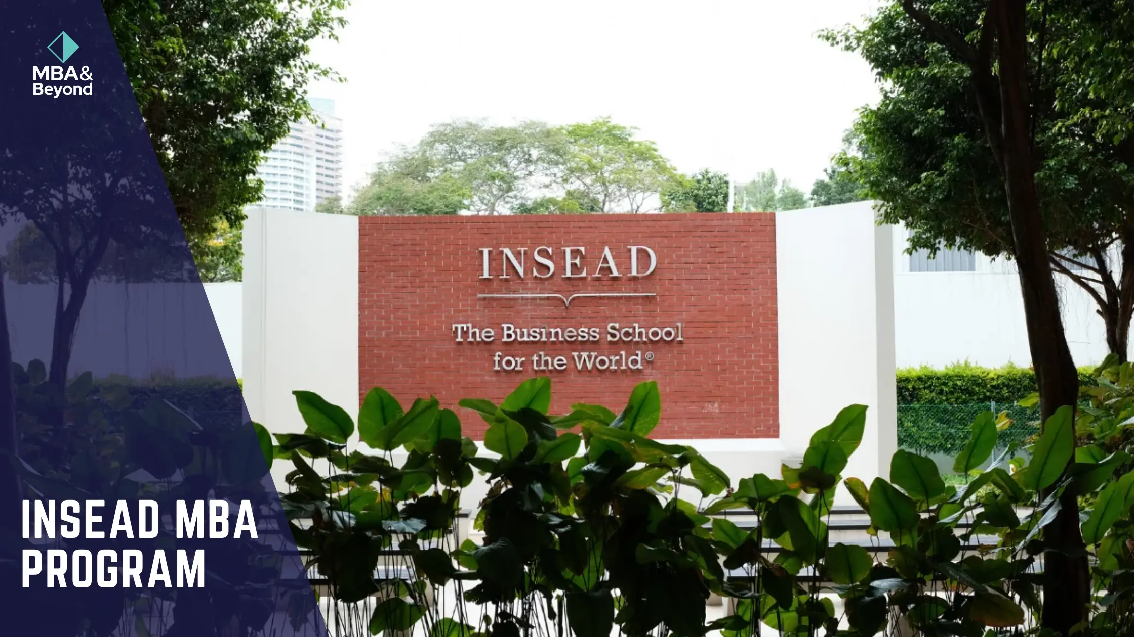 What INSEAD Has to Offer: A Deep Insight into INSEAD’s MBA