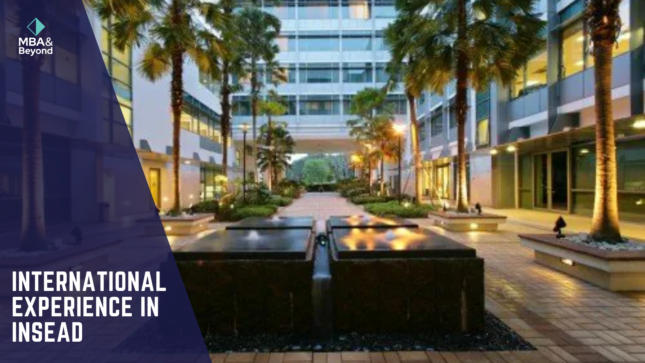 Leveraging International Experience in Your INSEAD Application