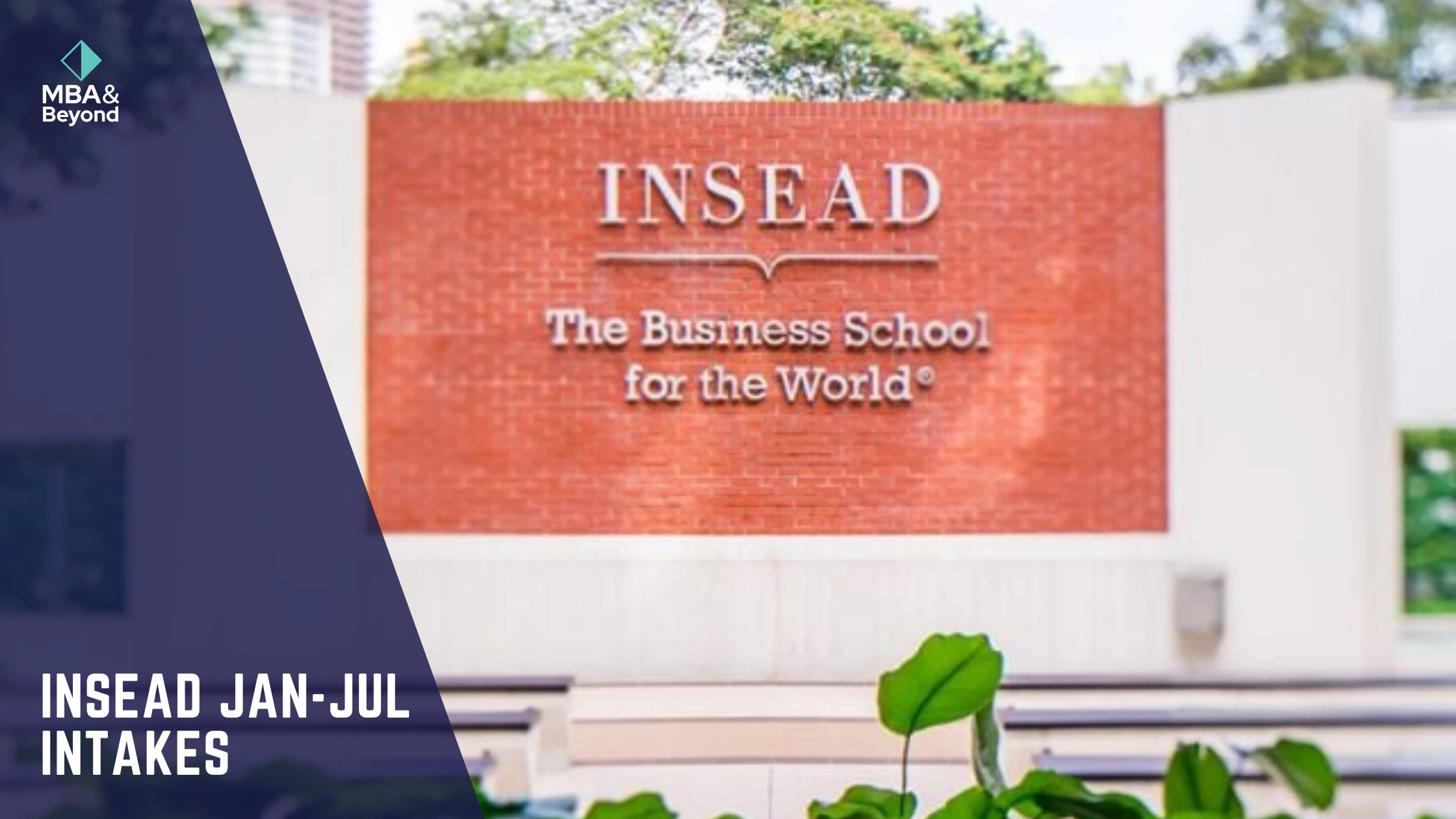 INSEAD January-July Intakes Differences