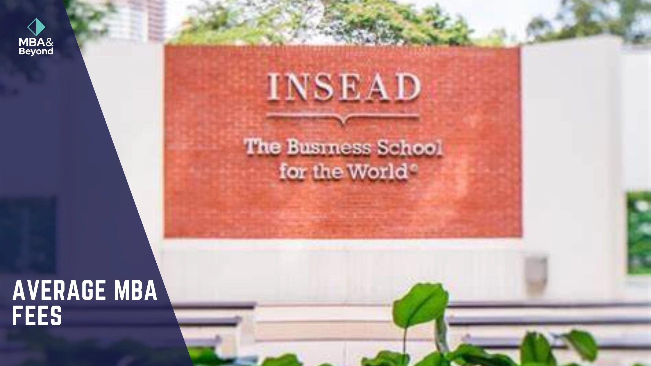 INSEAD MBA Fees: A Complete Guide for International Students